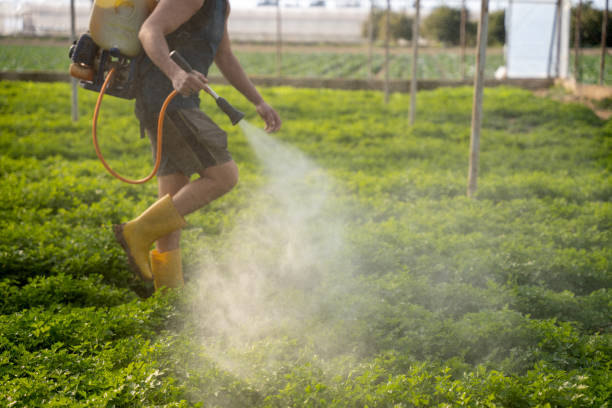 Best Affordable Pest Control Services  in Indian Hills, TX