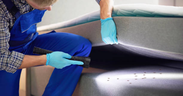 Best Best Pest Control Near Me  in Indian Hills, TX