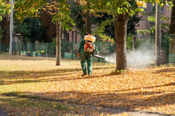 Pest Control for Restaurants in Indian Hills, TX
